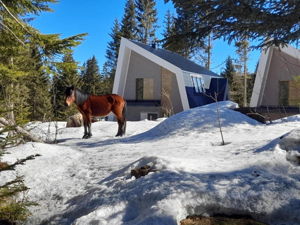 Olympic Oasis Villa Jahorina Exterior photo